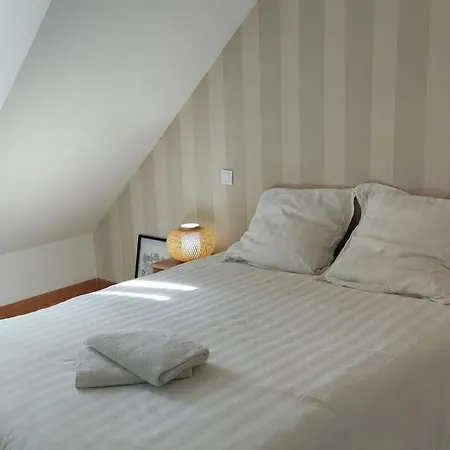 Superbe Duplex « le Grevy » * Dole